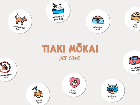 Te reo Māori pet care routine card guide with English translations and sentence examples