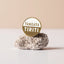 A gold 'Tangata Tiriti' badge pin on a pumice rock with a beige background