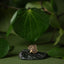 Gold kawakawa leaf pin on a dark stone with green kawakawa leaves in the background