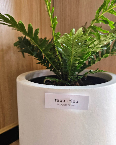 Printable Māori Labels | Office